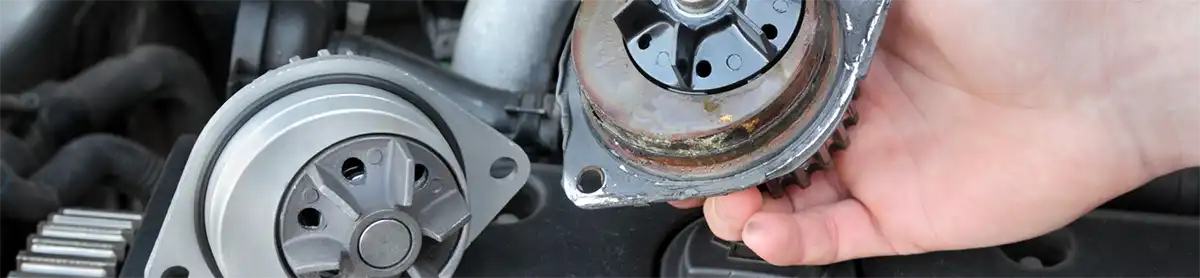 South Park Los Angeles Auto Repair Water Pump Replacement